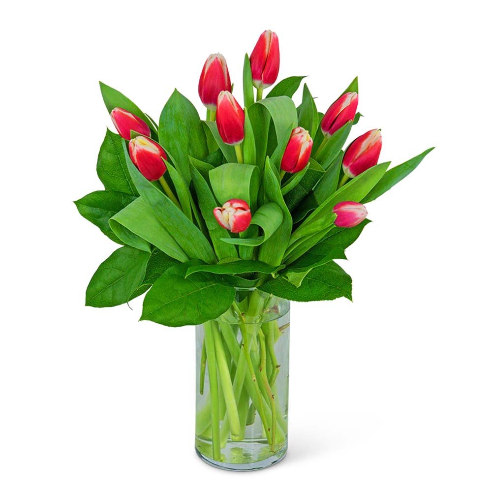 Tigress Tulips - Anaheim Hills Florist