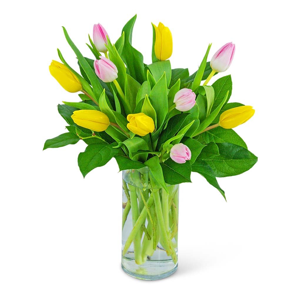 Strawberry Lemonade Tulips - Anaheim Hills Florist