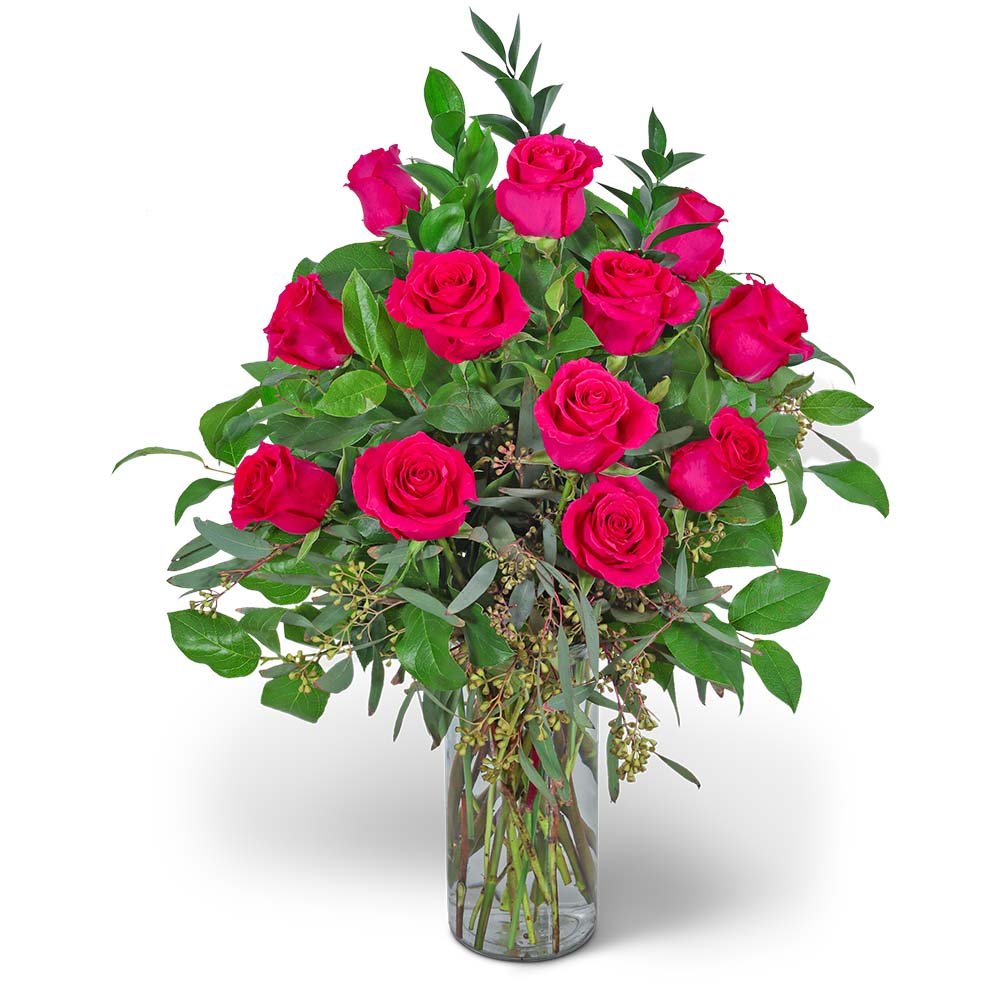 One Dozen Hot Pink Roses - Anaheim Hills Florist