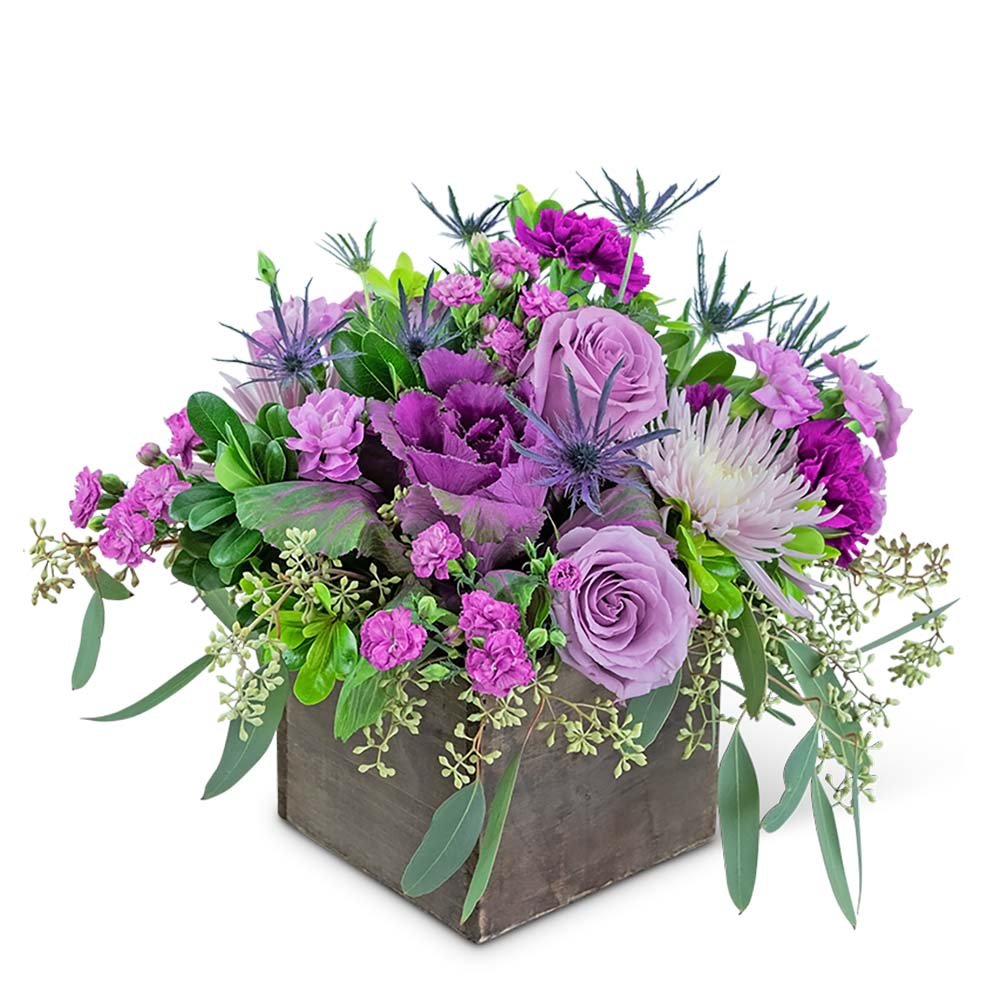 Midnight Mulberry - Anaheim Hills Florist