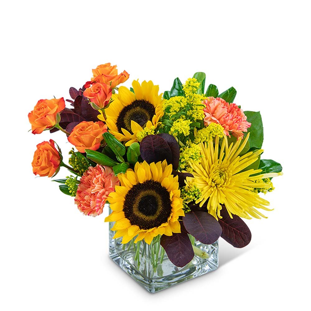 Splendid Sun - Anaheim Hills Florist