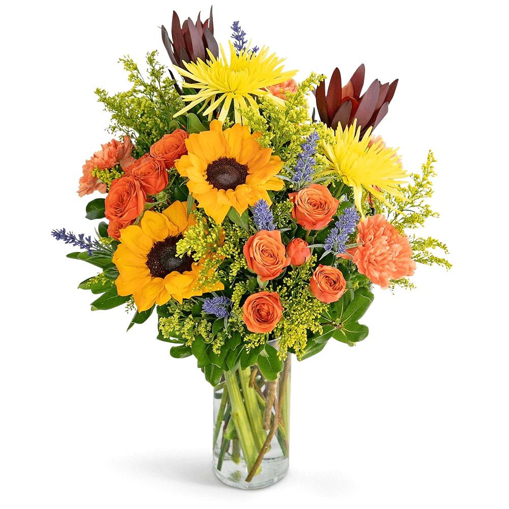 Sending You Splendor - Anaheim Hills Florist