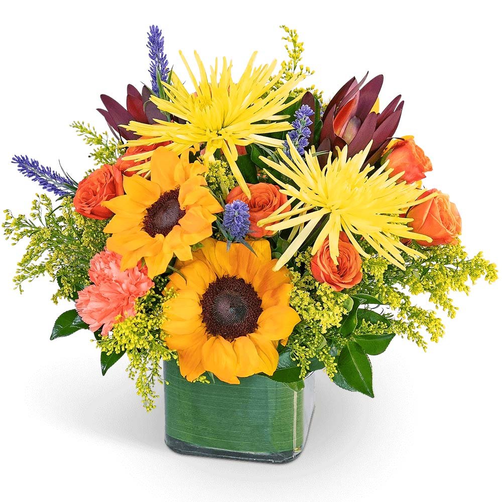 Watercolor Splendor - Anaheim Hills Florist