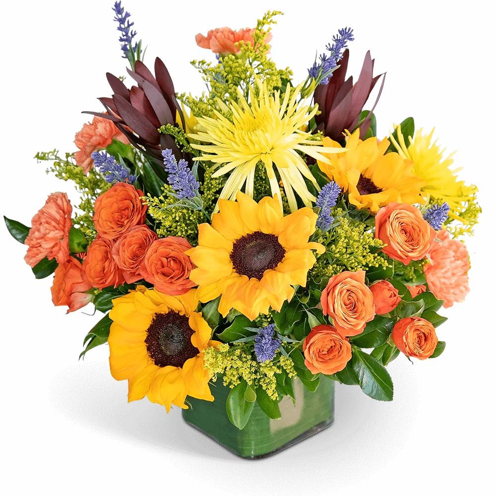 Splendid Abundance - Anaheim Hills Florist