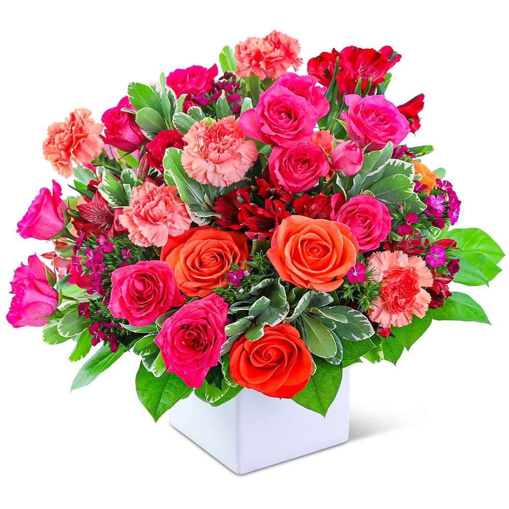 Dazed Daiquiri - Anaheim Hills Florist