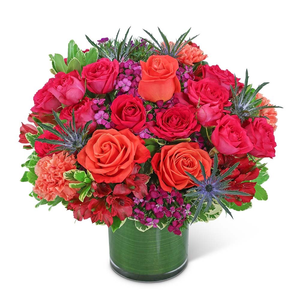 Bellini Star - Anaheim Hills Florist