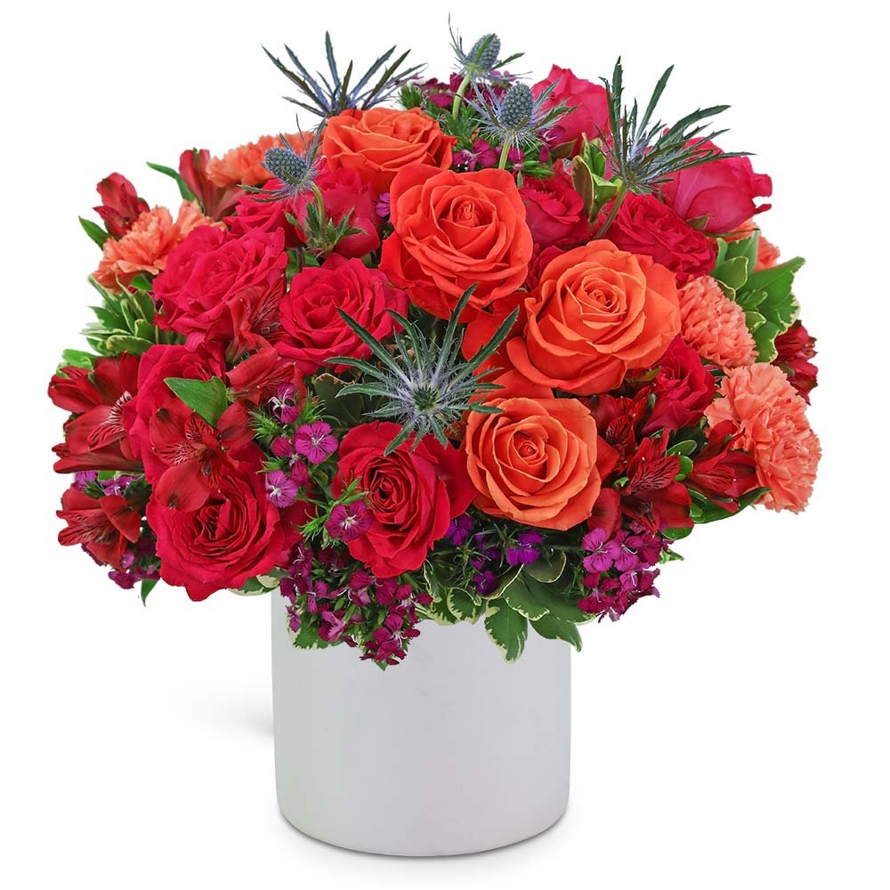 Daiquiri Luxe - Anaheim Hills Florist