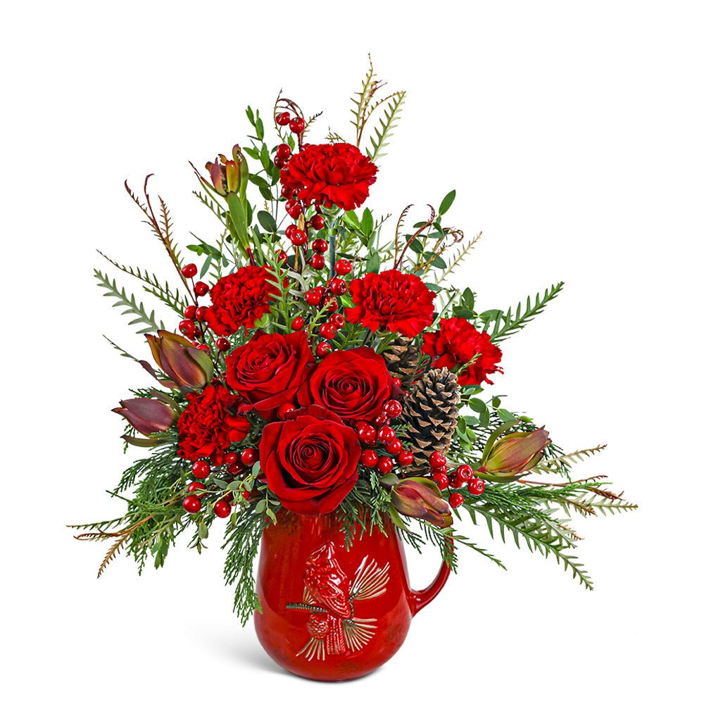 Scarlet Cardinal Pitcher - Anaheim Hills Florist