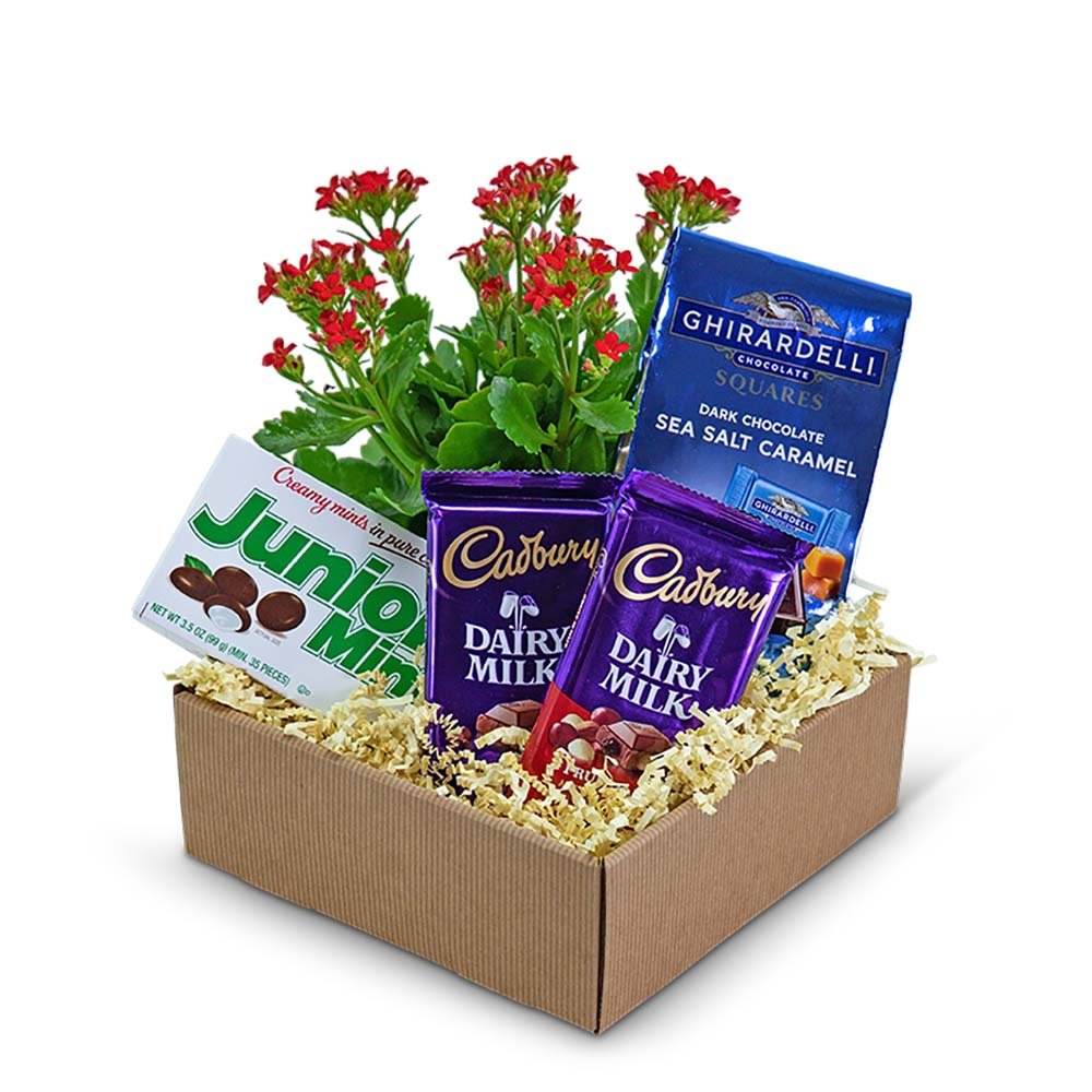 Boy Meets World Basket - Anaheim Hills Florist