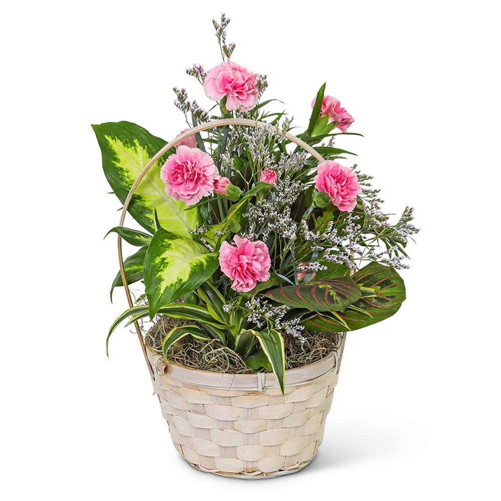 Dish Garden with Petite Pink Florals - Anaheim Hills Florist