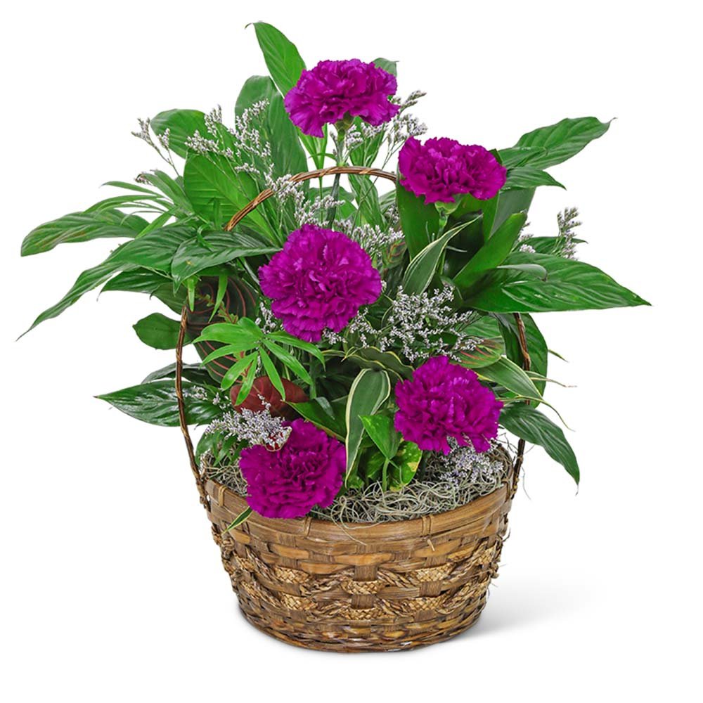 Dish Garden with Purple Florals - Anaheim Hills Florist