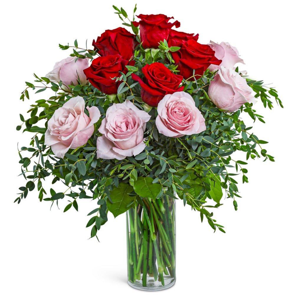 One Dozen Perfect Pink and Red Roses - Anaheim Hills Florist