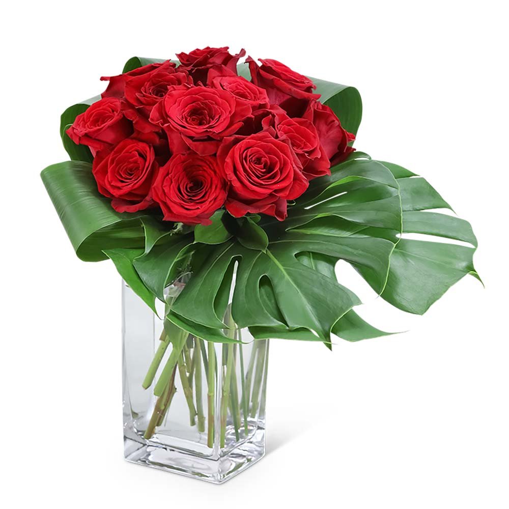 Modern Roses (12) - Anaheim Hills Florist