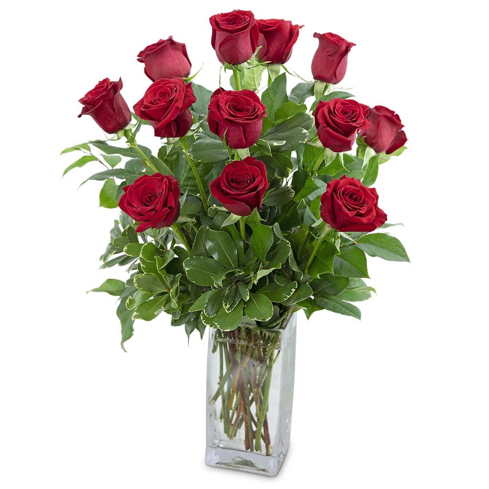 Classic Dozen Red Roses - Anaheim Hills Florist
