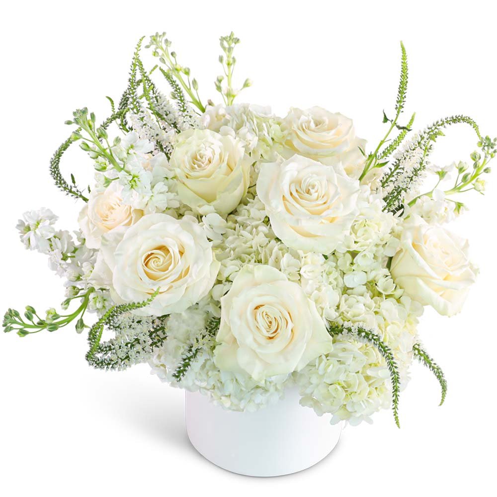 Chantilly Creme - Anaheim Hills Florist