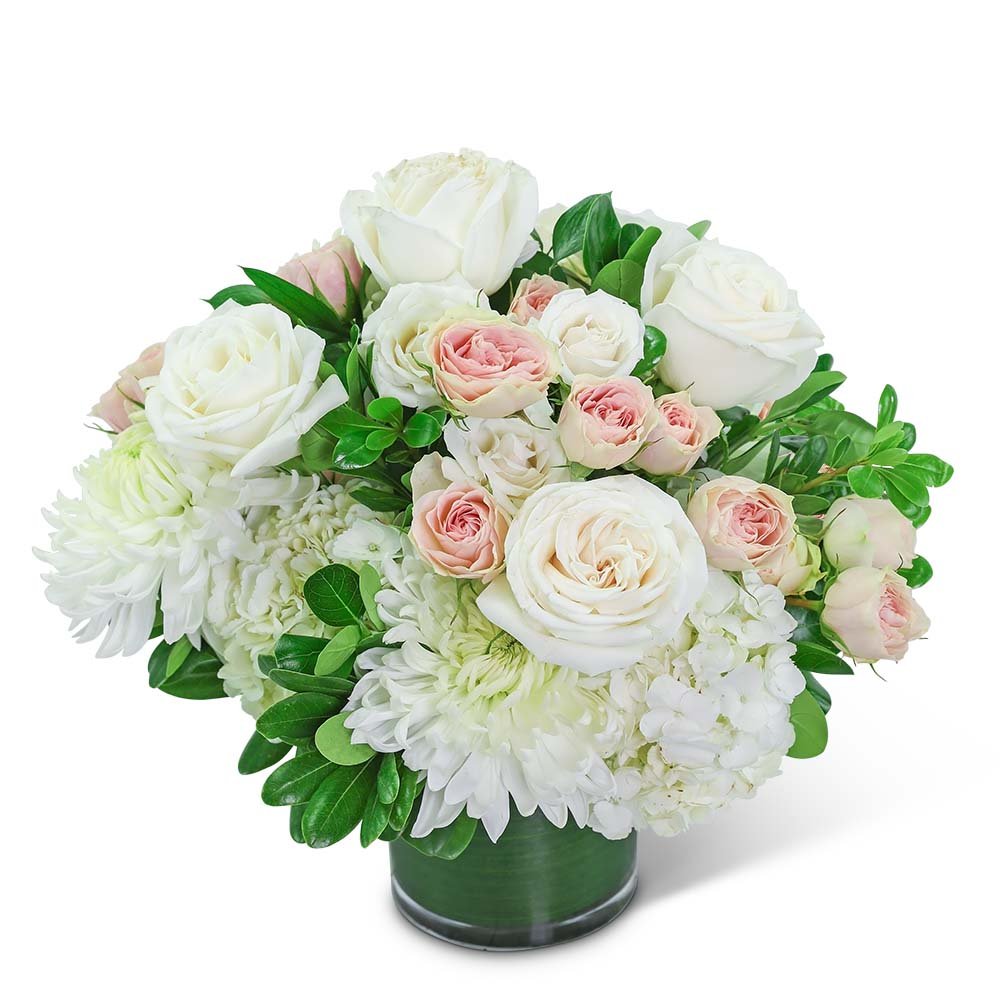 Aurora Abloom - Anaheim Hills Florist
