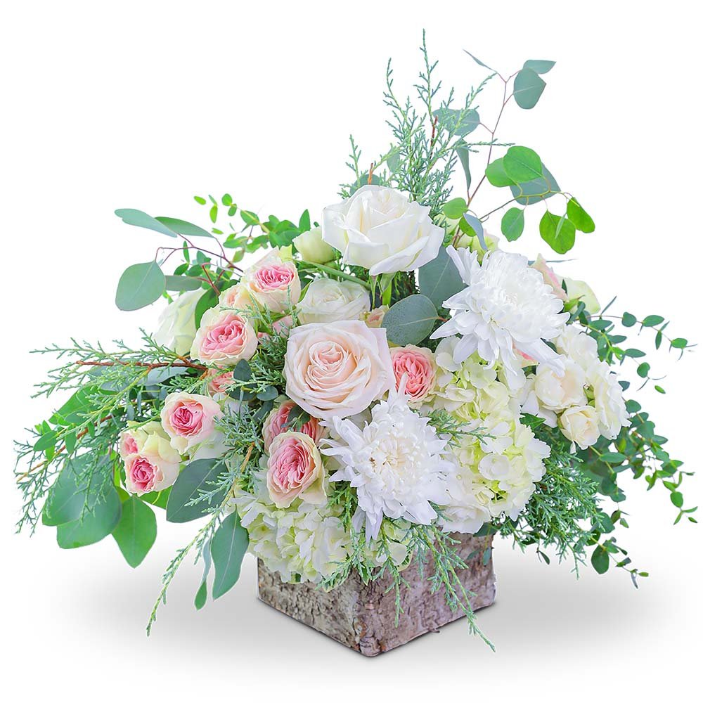 Wintry Birch Blooms - Anaheim Hills Florist