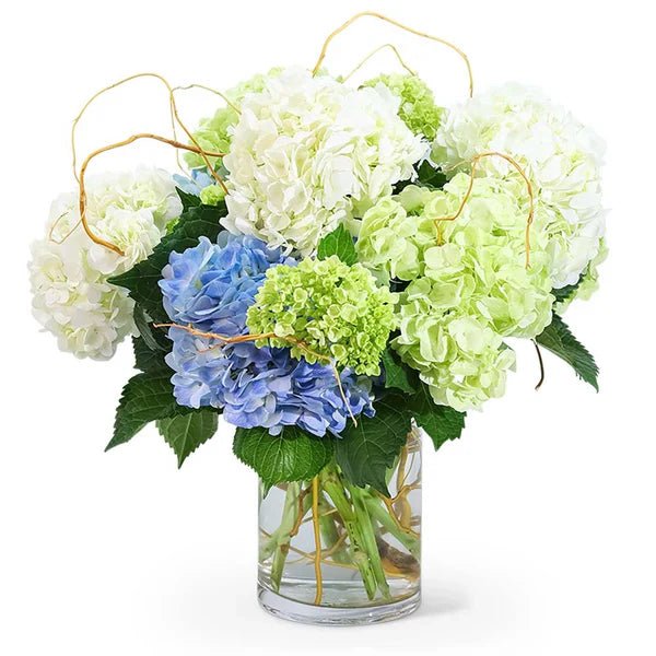 Best Baby Shower Flowers for Boy, Girl, or Neutral Themes - Anaheim Hills Florist