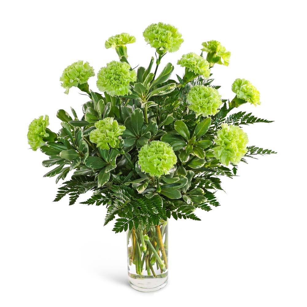 One Dozen Green Carnations - Anaheim Hills Florist