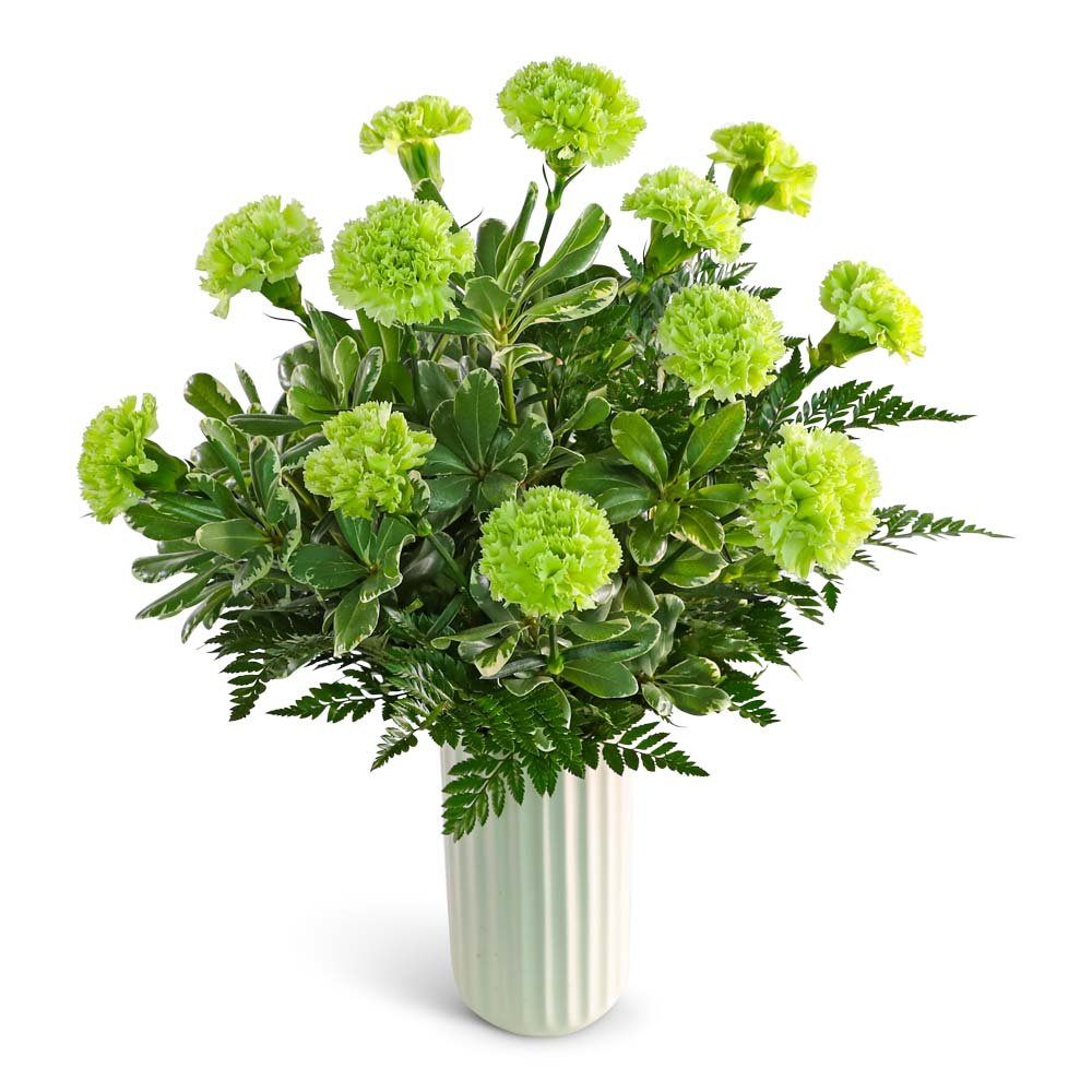 One Dozen Bright Green Carnations - Anaheim Hills Florist