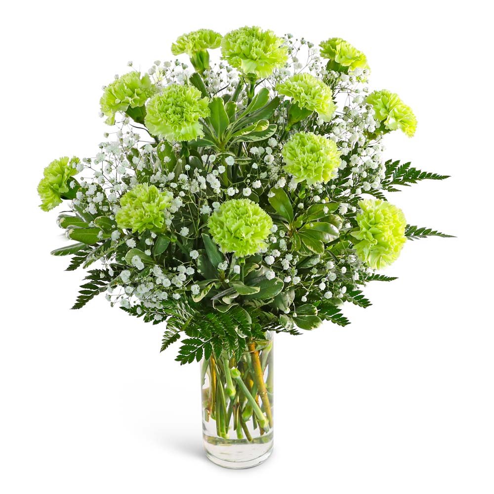 One Dozen Green Carnations with Babies Breath - Anaheim Hills Florist