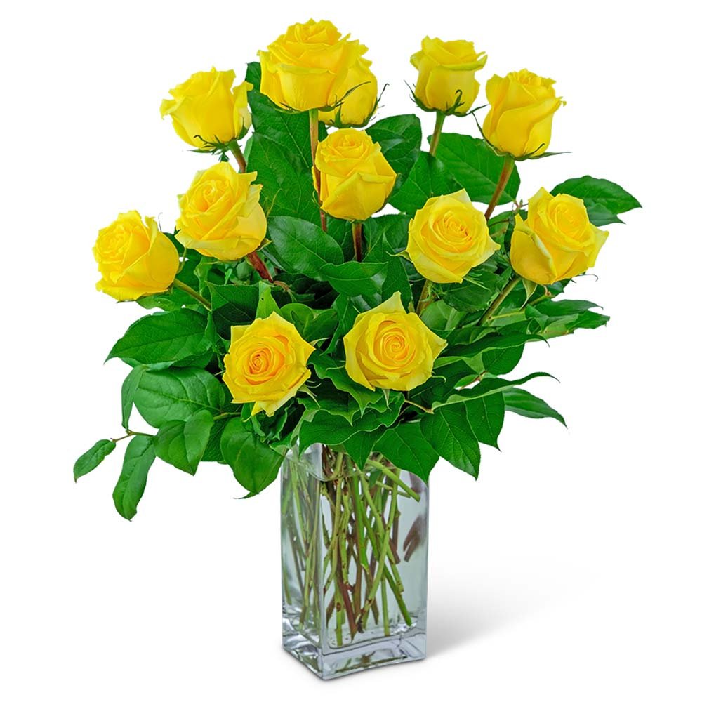 Yellow Roses (12) - Anaheim Hills Florist