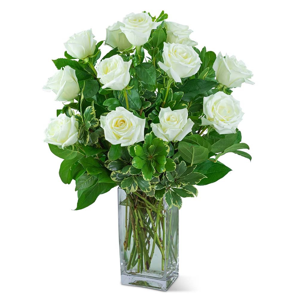 White Roses (12) - Anaheim Hills Florist