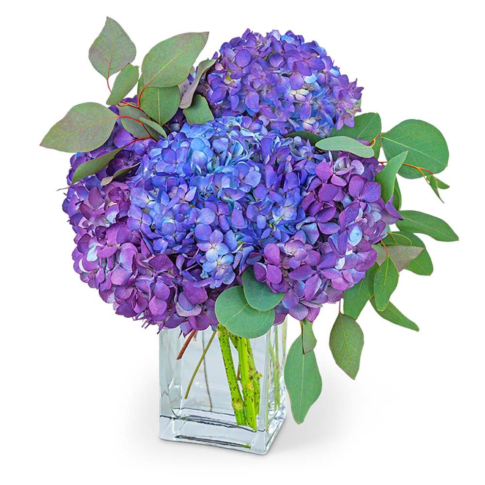 French Countryside - Anaheim Hills Florist