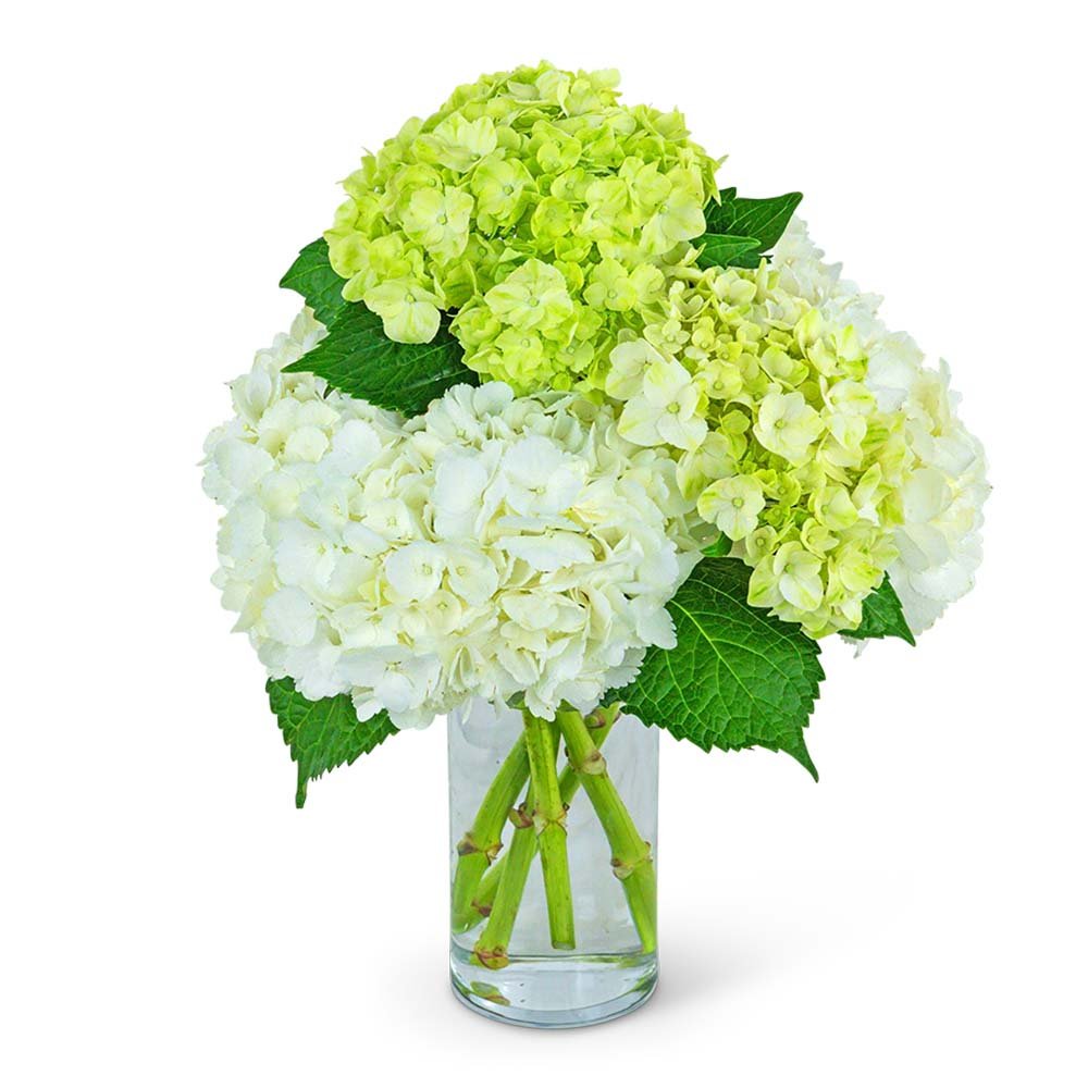 Cashmere and Mint - Anaheim Hills Florist