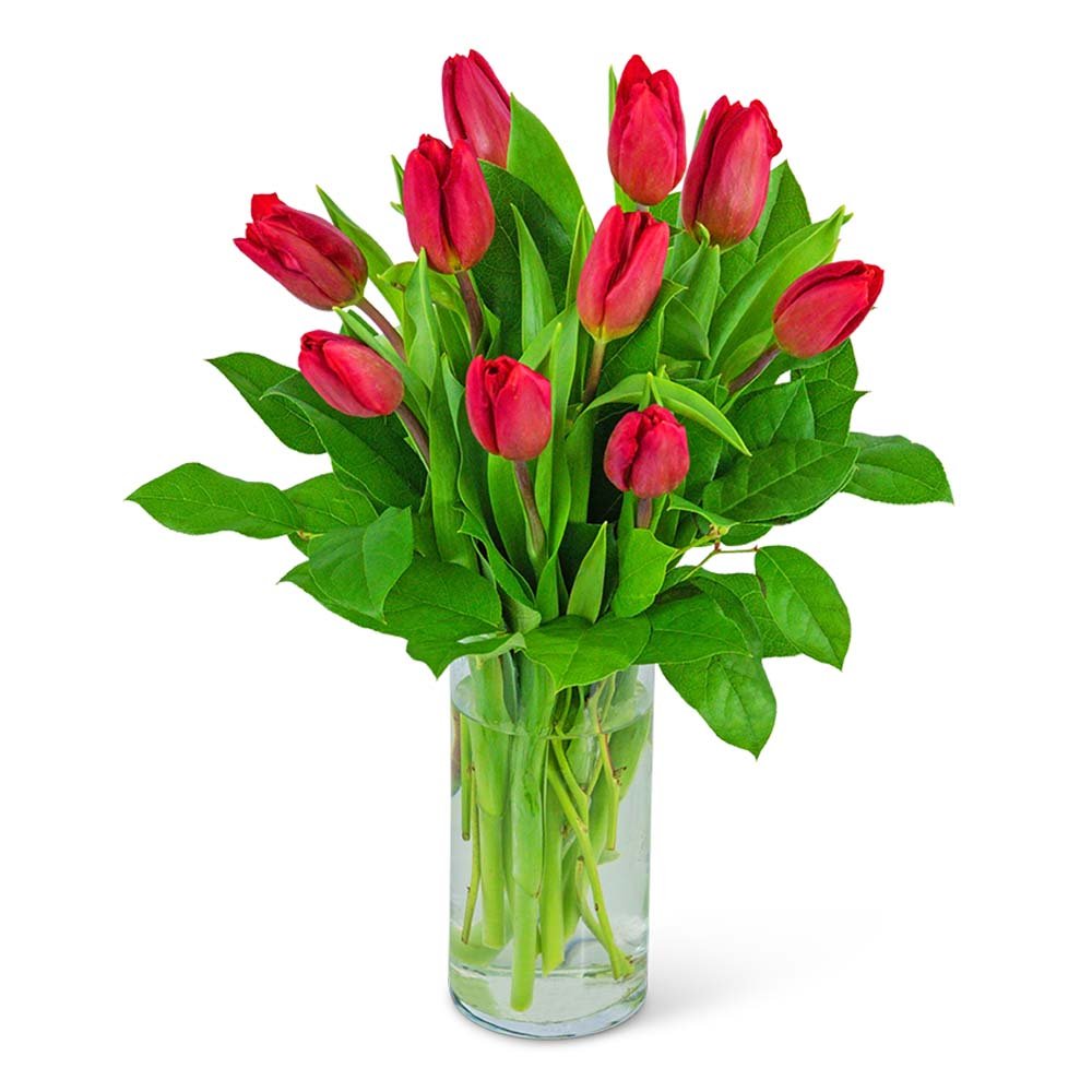 Red Tulips - Anaheim Hills Florist