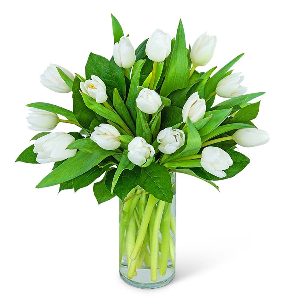 White Tulips - Anaheim Hills Florist