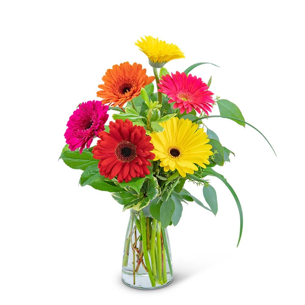 Sunny Gerbera - Anaheim Hills Florist