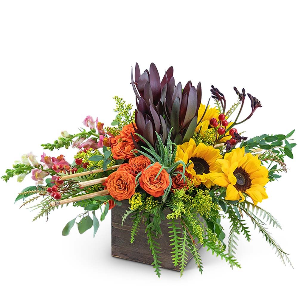 Eye of the Tiger - Anaheim Hills Florist