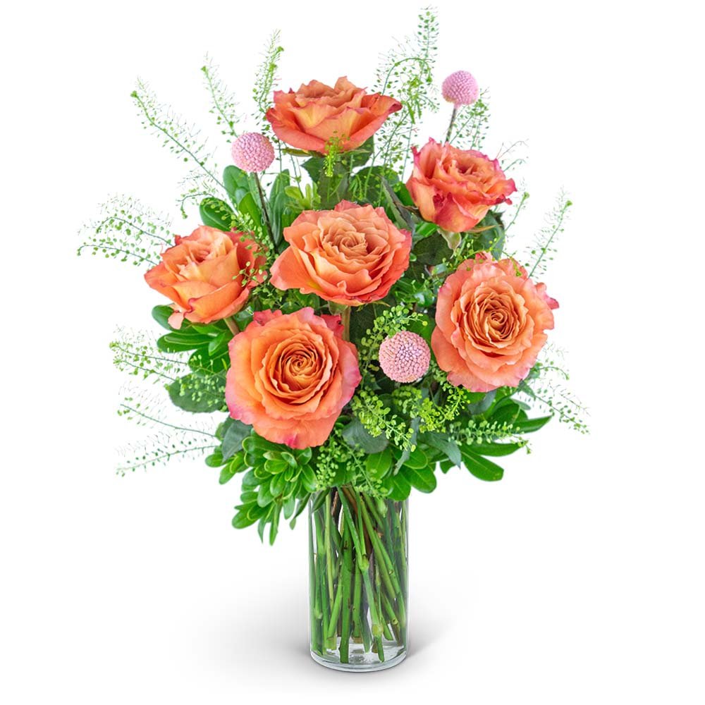 Half Dozen Free Spirit Rose Symphony - Anaheim Hills Florist