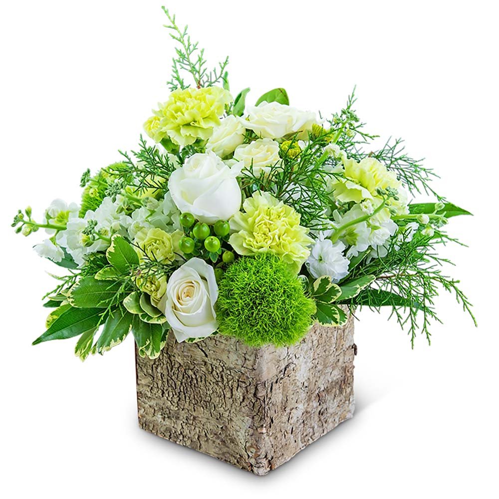 Bourbon Vanilla - Anaheim Hills Florist