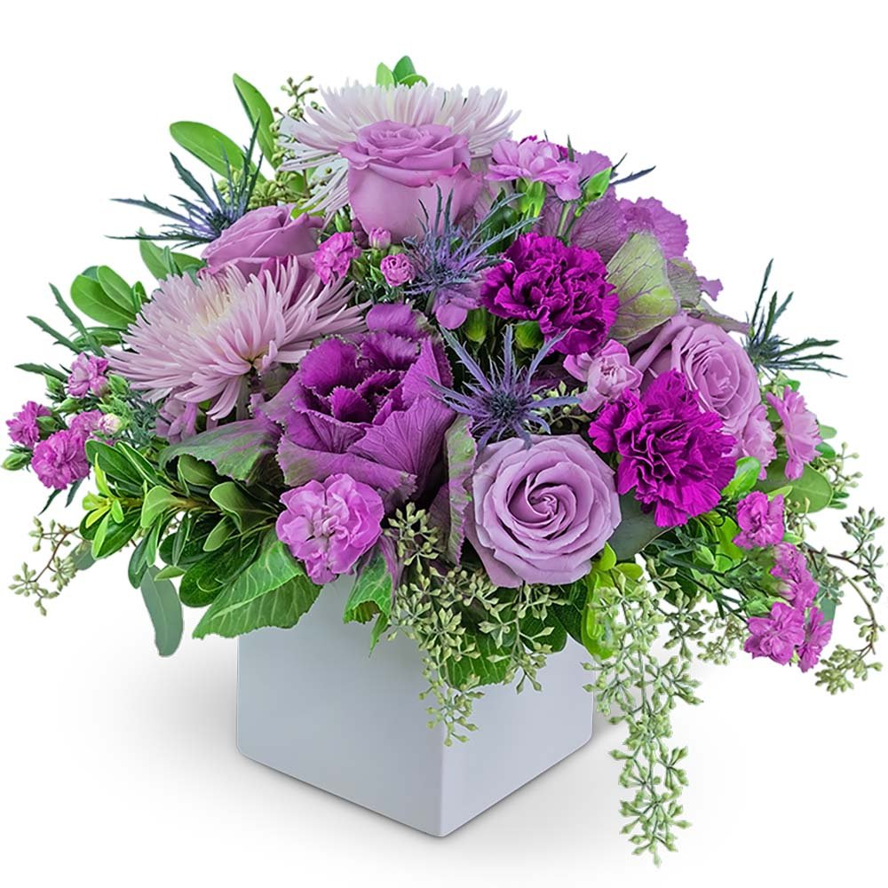 Contemporary Cleopatra - Anaheim Hills Florist