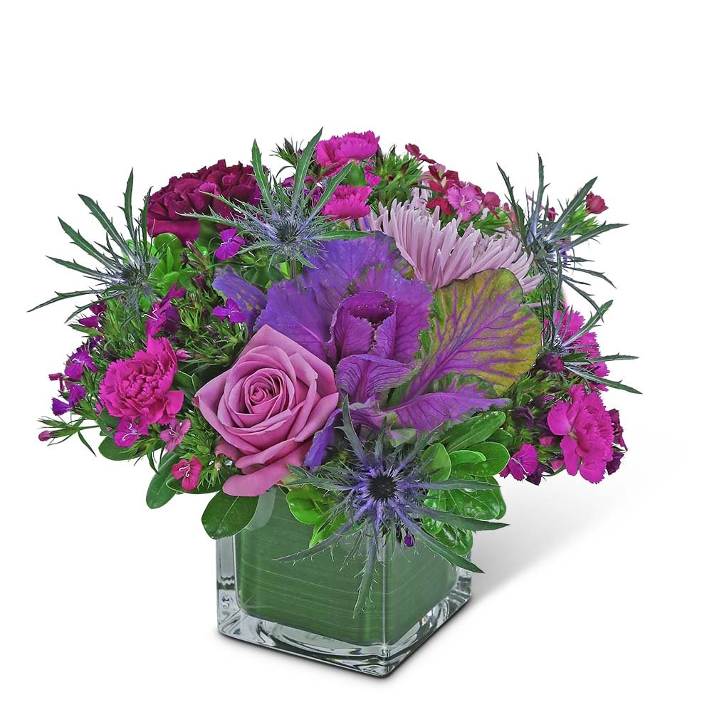 Bohemian Cypress - Anaheim Hills Florist