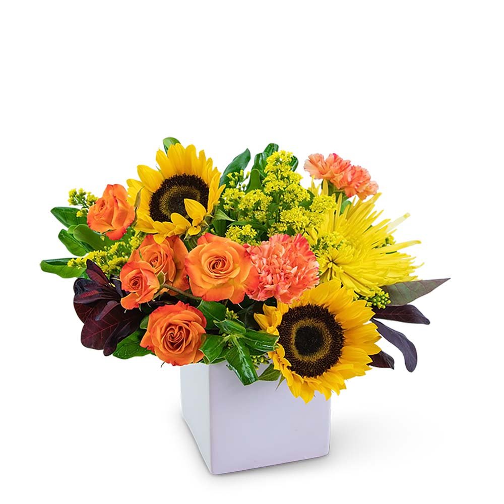 Splendid Day - Anaheim Hills Florist