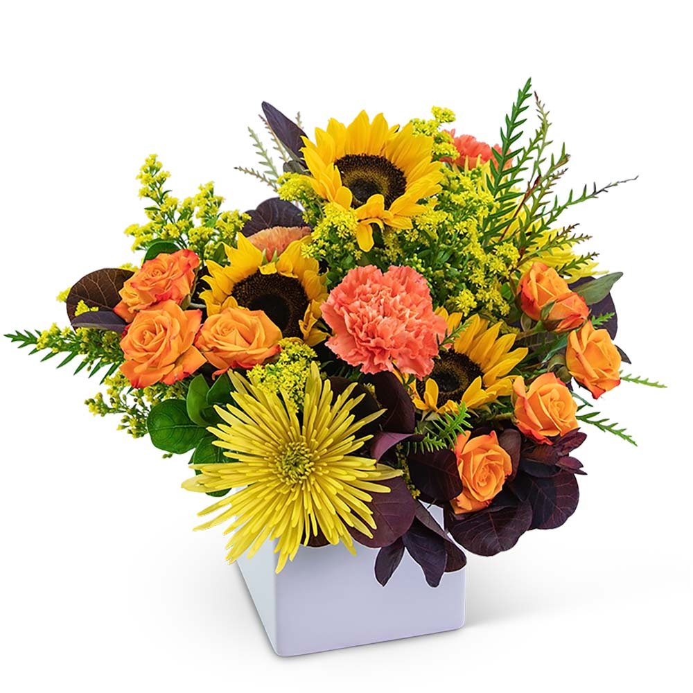 Splendid Harvest - Anaheim Hills Florist