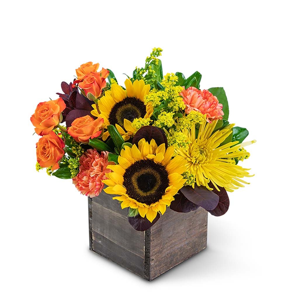 Vivid Autumn - Anaheim Hills Florist