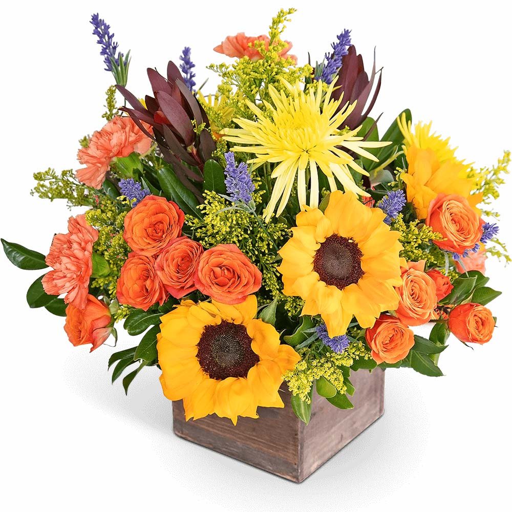 Autumn Sky - Anaheim Hills Florist