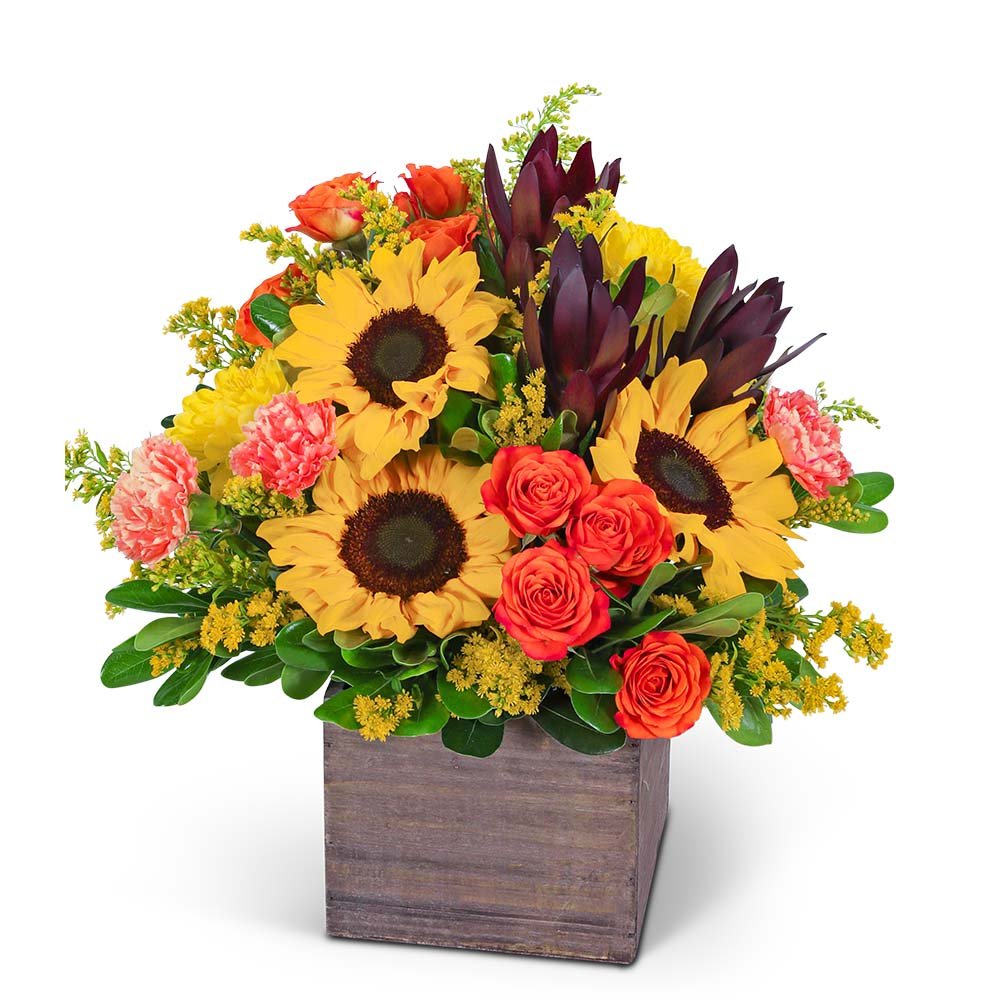 Sunbeam Luxe - Anaheim Hills Florist