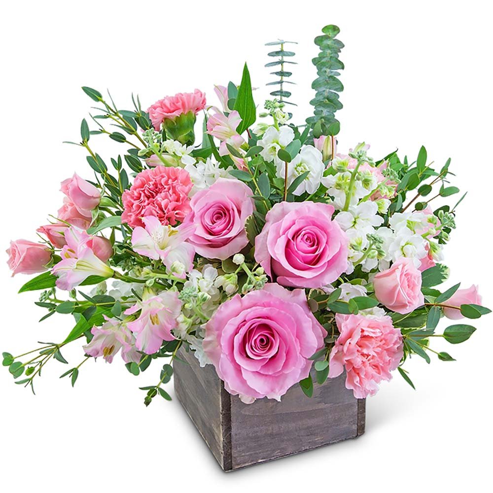 Pink Cashmere - Anaheim Hills Florist