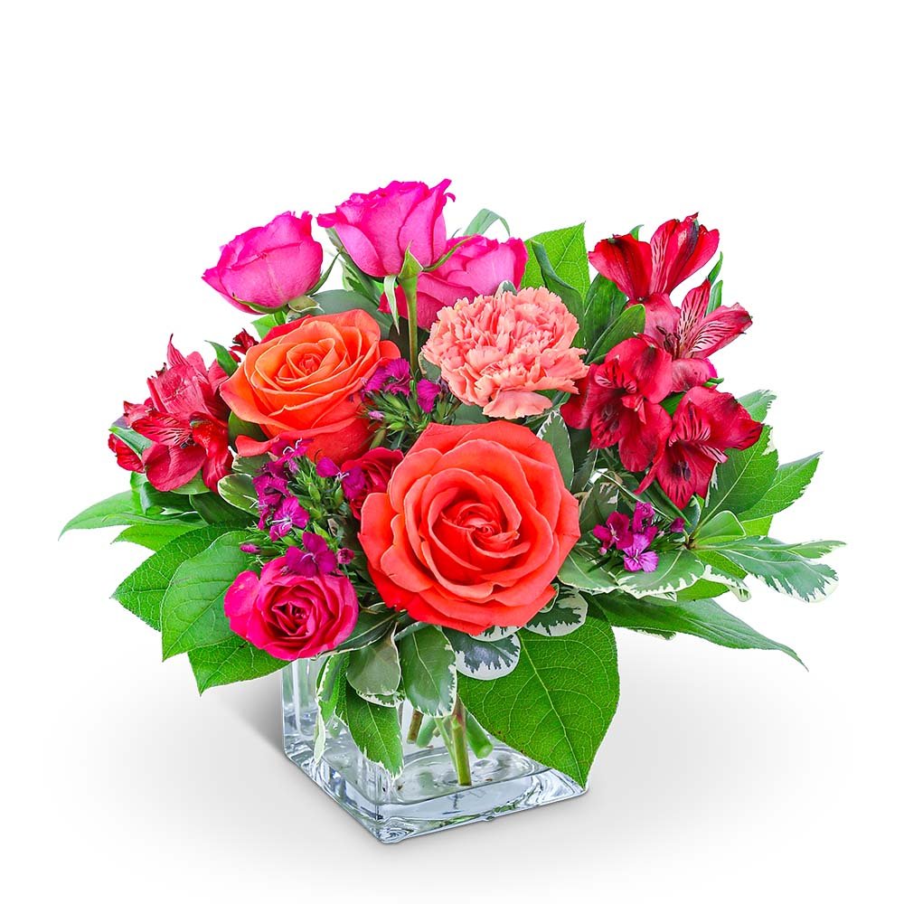 Bellini - Anaheim Hills Florist