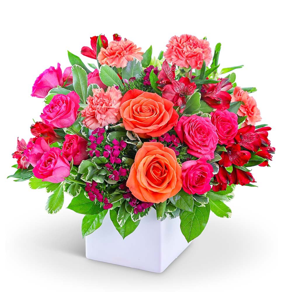 Daiquiri Daydream - Anaheim Hills Florist