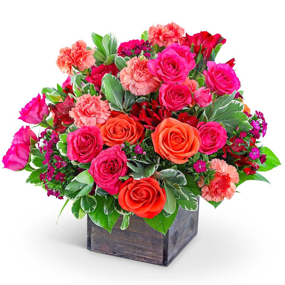 Brazilian Flora - Anaheim Hills Florist