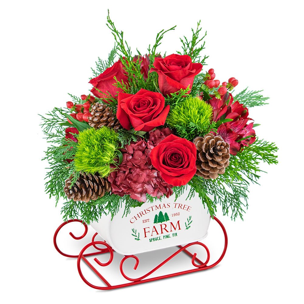 Festive Cranberry Keepsake Sleigh - Anaheim Hills Florist