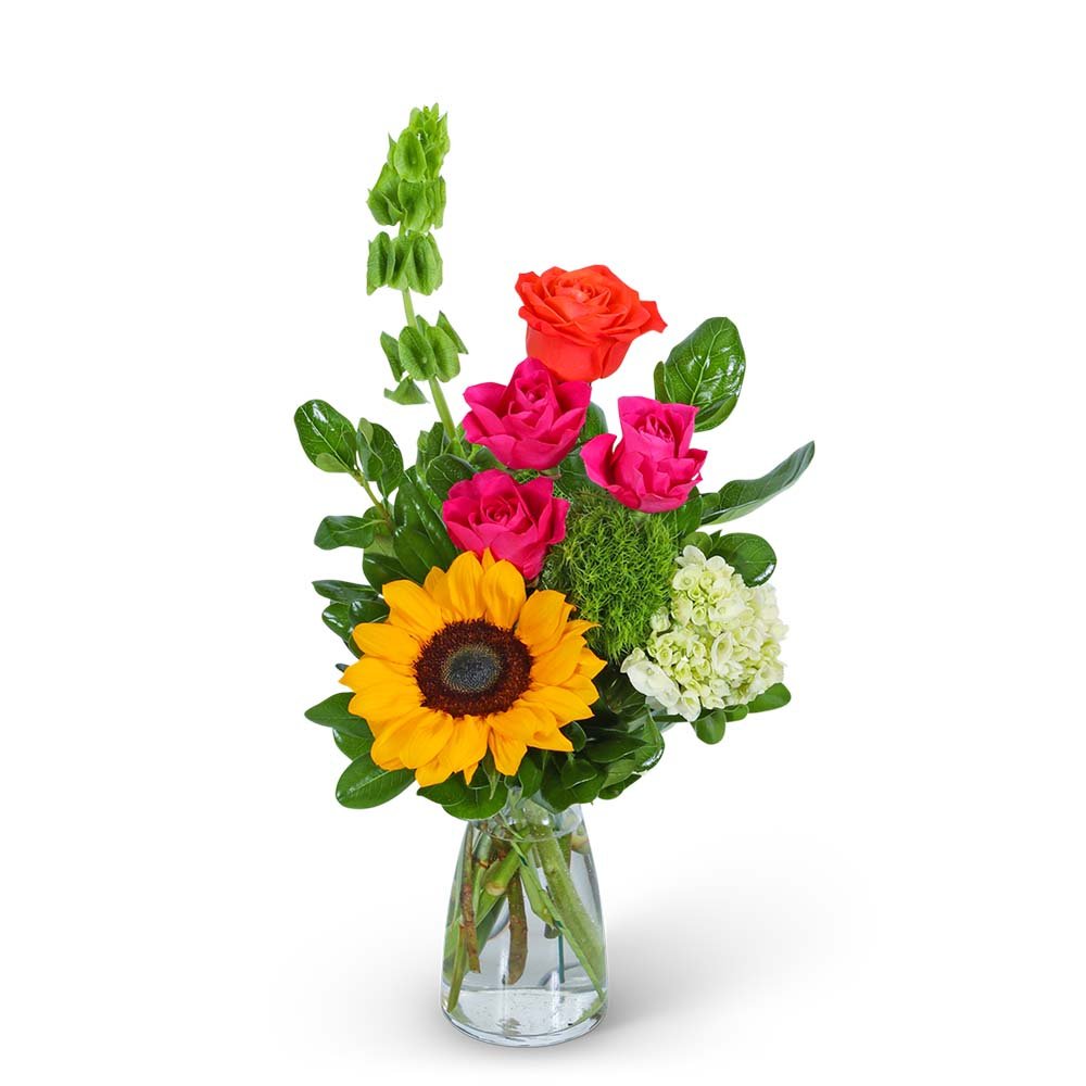 Vibrant Vibe - Anaheim Hills Florist