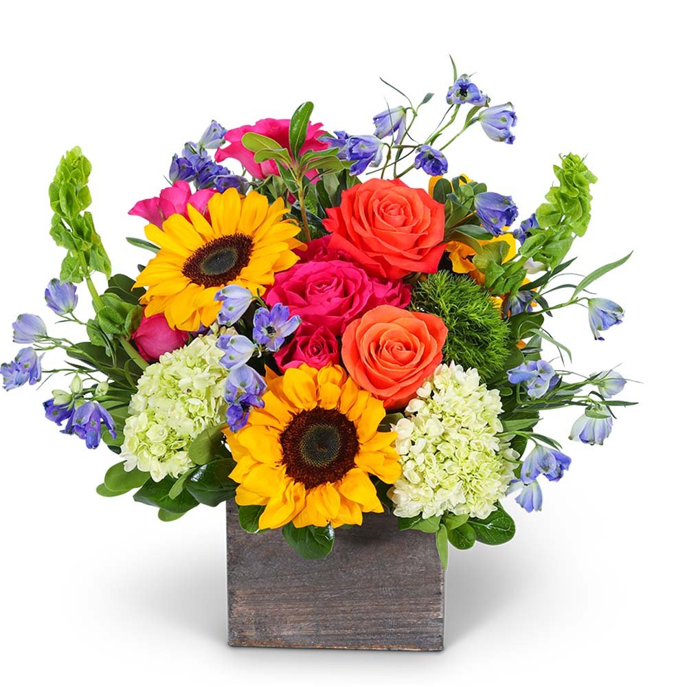 Valencia Harmony - Anaheim Hills Florist