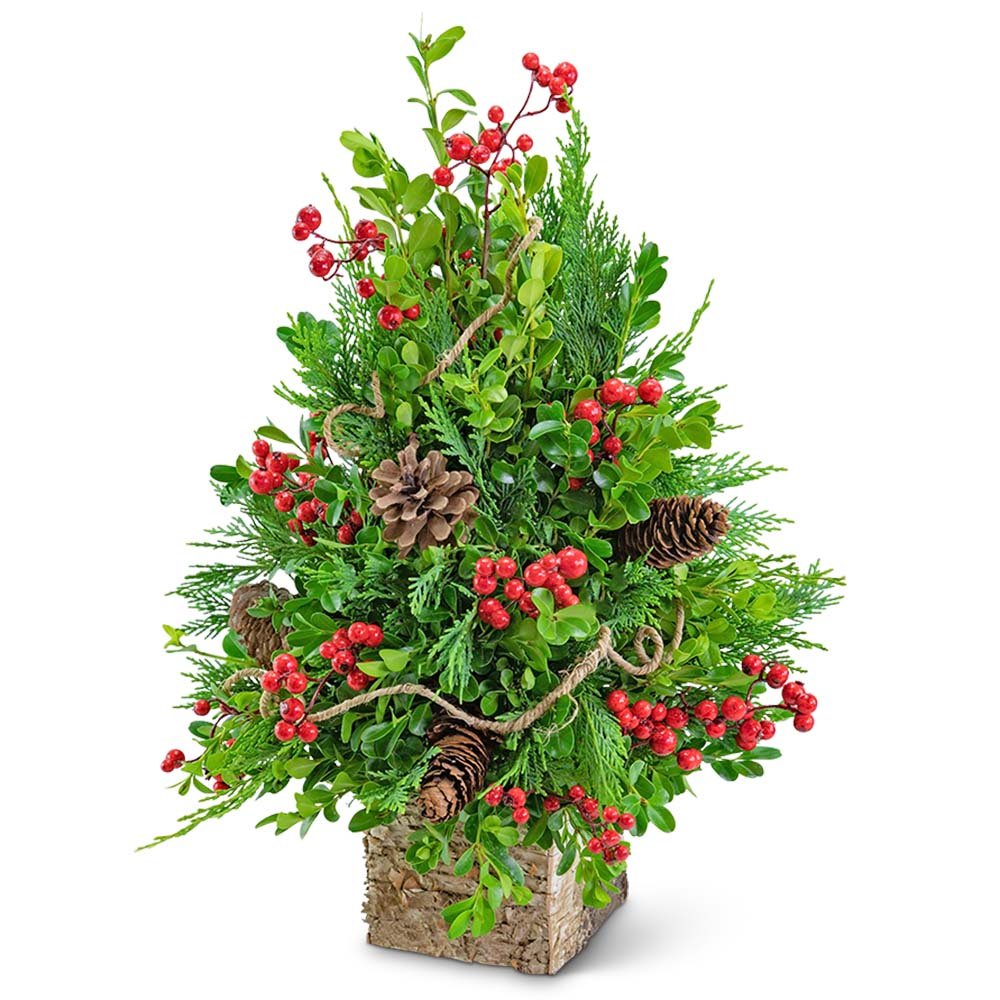 Berries & Cones Boxwood Tree - Anaheim Hills Florist